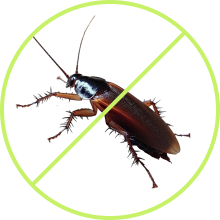 Residential Pest Control