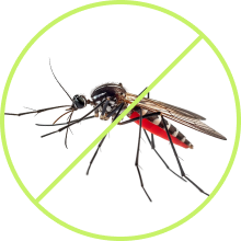 Commercial Pest Control